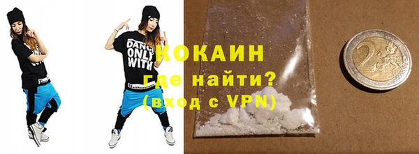 прущие грибы Наволоки