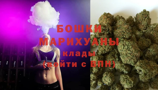 хмурый Белая Холуница