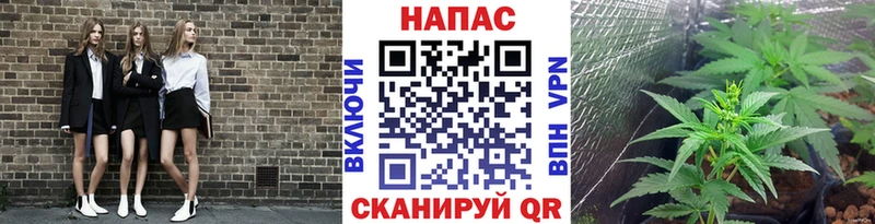 Конопля THC 21%  Никольское 
